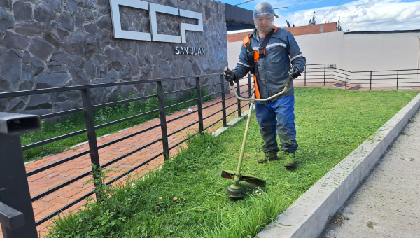 MANTENIMIENTO DE AREAS VERDES